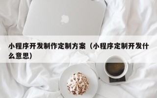 小程序开发制作定制方案（小程序定制开发什么意思）
